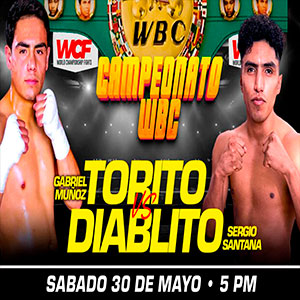 Campeonato Wbc 